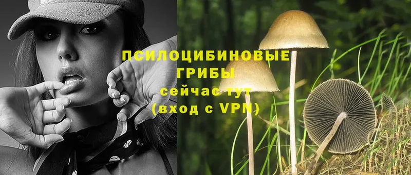 Галлюциногенные грибы Magic Shrooms  Ленск 